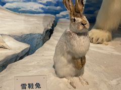 -陕西自然博物馆