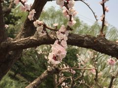 玲珑公园-玲珑塔公园