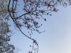 -杭州植物园