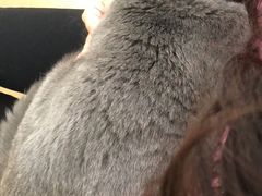 -瑞鹏宠物医院·骨科·猫科·内科(第一中心)