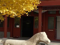 -北京石刻艺术博物馆(五塔寺)