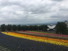 -富田农场