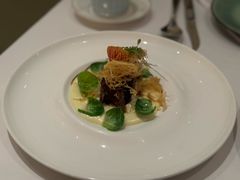 -蝶舍·MAISON PAPILLON