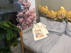 -柴迷FANS CLUB·柴犬狗咖·猫咖
