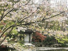 -杭州植物园