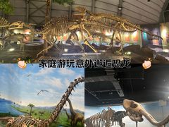 -辽宁古生物博物馆