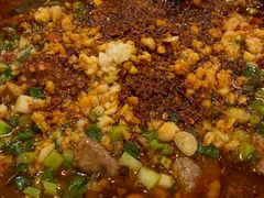 -圣厨牛腩(青春岛社区玉寿苑店)