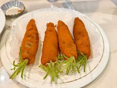 -丁老爷子苏香圆