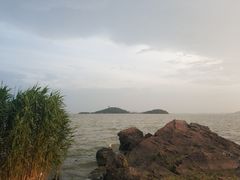 -上海市保健医疗中心