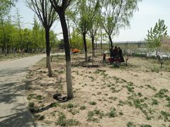 -绿堤公园