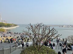 -SAANCI山池咖啡(海上世界文化艺术中心店)