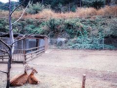 -北京山里寒舍度假酒店