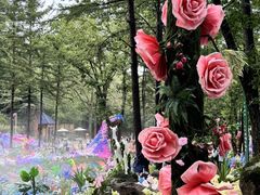 -洛阳白云山景区