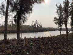 -漩门湾国家湿地公园