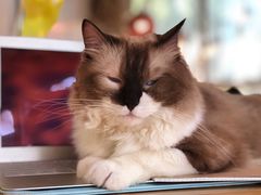 -灯塔咖啡馆BOOK·Coffee Shop