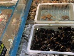 水产区-臻悦海宴.家宴(奥体中心店)