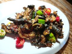 -蝴蝶汇音乐酒馆(罗湖店)