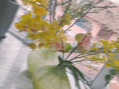 -蝶舍·MAISON PAPILLON