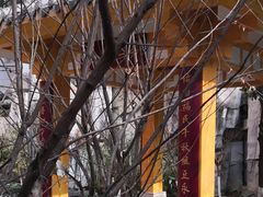 -武汉市洪山区卓刀泉小学