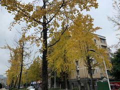 -四川大学(华西校区)