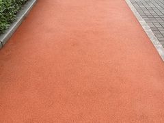 -龙头寺公园