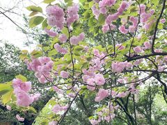 -龙华寺
