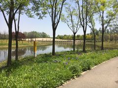 -东郊湿地公园
