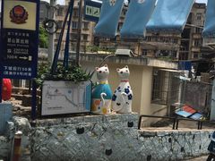 -猫咪博物馆(顶澳仔猫街店)