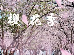 -龙美术馆(西岸馆)