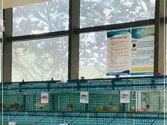-锦里海景海鲜餐厅.三亚老字号(亚龙湾中心广场店)