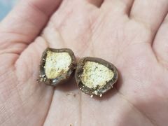 -麦德龙(十里河店)