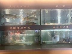 -阿五黄河大鲤鱼(英协路店)