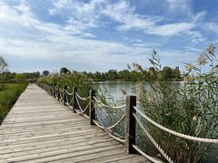 -野鸭湖国家湿地公园