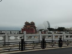 -野狸岛