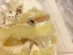 -卡漫莫尼蛋糕(徐汇店)