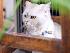 -研途咖啡馆(健康路店)