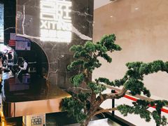 -喜庭海鲜自助(来福士店)