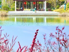 -东南大学(九龙湖校区)
