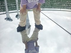 -黄海国家森林公园