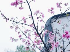 -乌山风景区