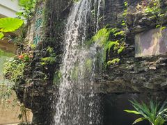 -广州白天鹅宾馆