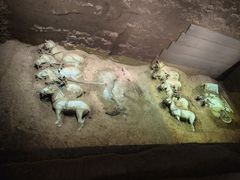 -秦始皇帝陵博物院-丽山园