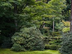 -三千院