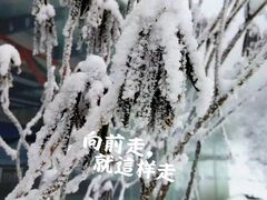 -太子岭滑雪场
