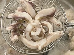 -正能量脆肉鲩火锅