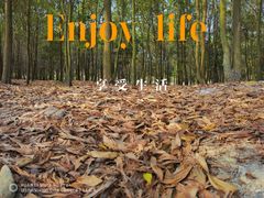 -露天矿生态公园