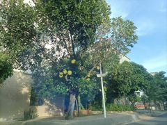 -北海金海湾红树林生态旅游区