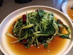 炝炒鸡毛菜-日上三甘(三里屯店)