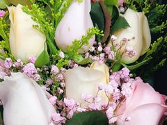 -怡花宜木鲜花店(朝阳路店)