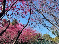 -牛岗山公园